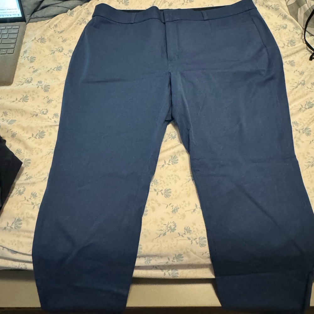 Banana Republic dress pants